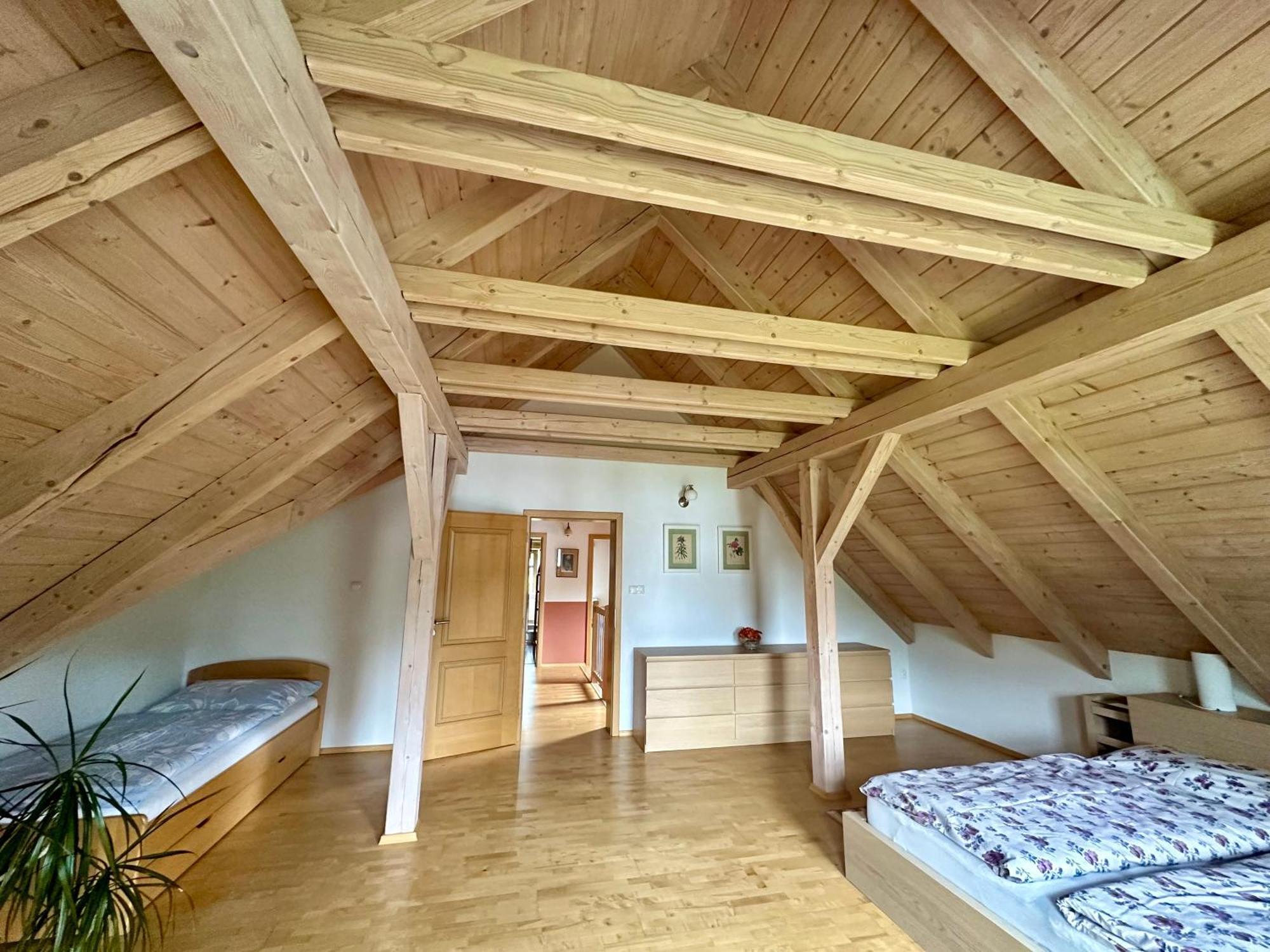Apartment Lazec